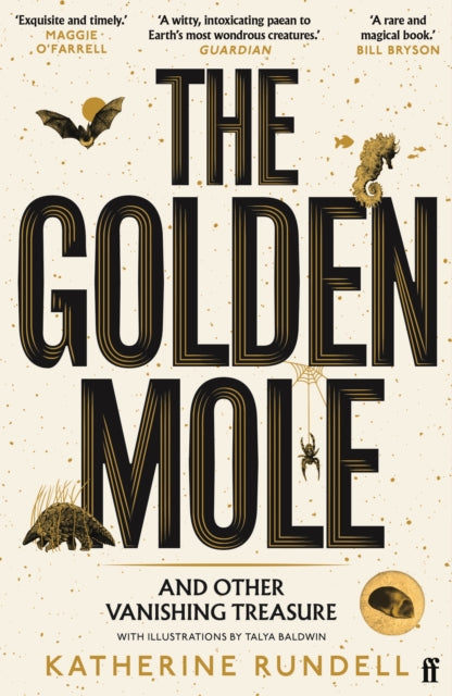 Katherine Rundell : The Golden Mole