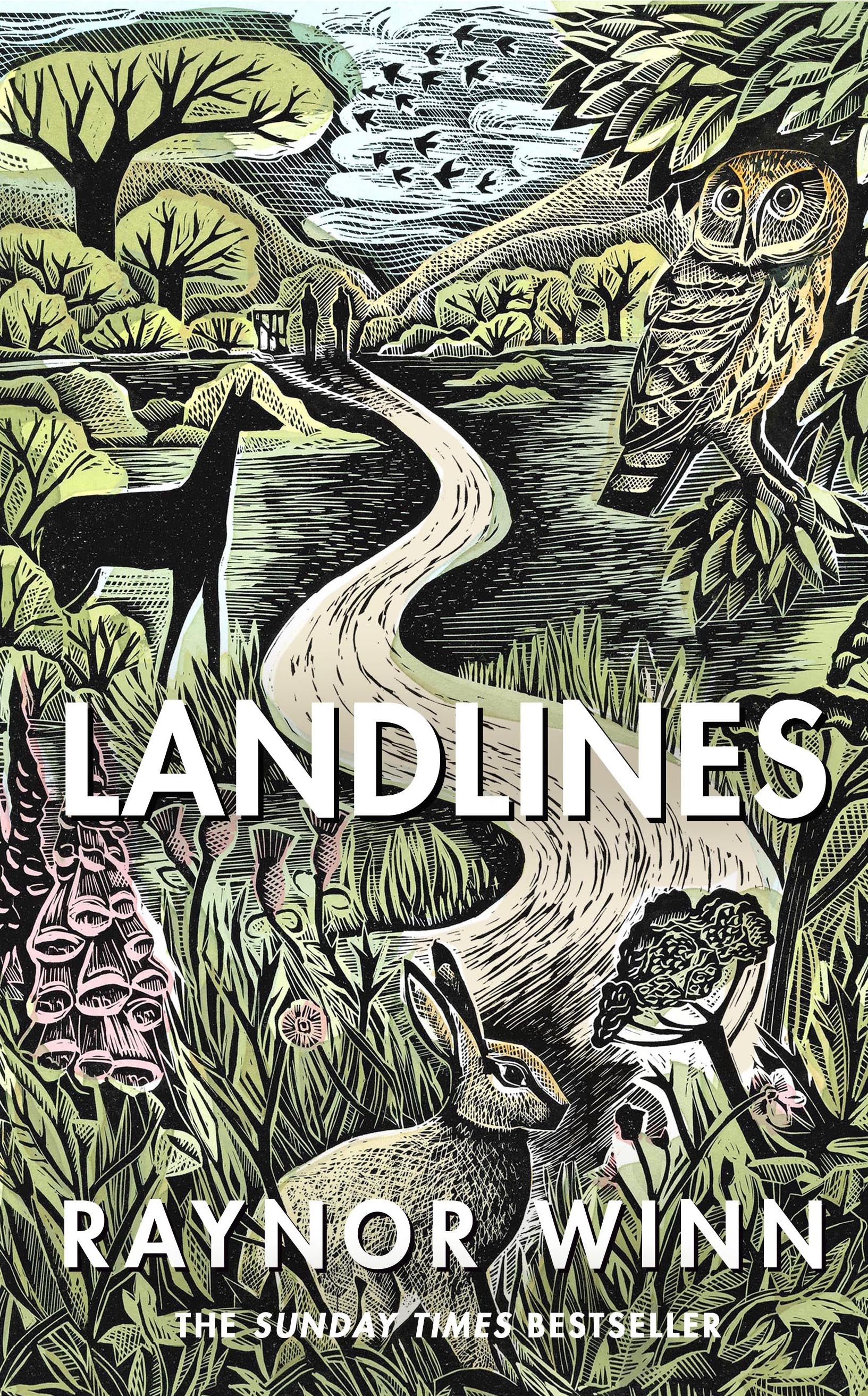 Raynor Winn : Landlines
